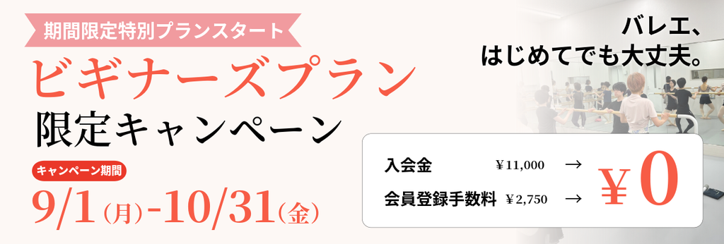 ビギナーズプラン
限定キャンペーン